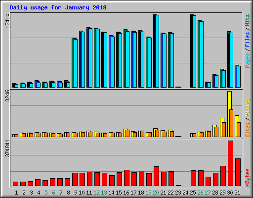 Daily usage for January 2019