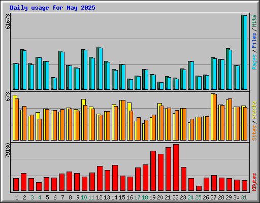 Daily usage for May 2025