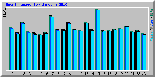 Hourly usage for January 2019