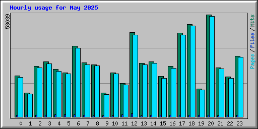 Hourly usage for May 2025