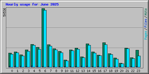 Hourly usage for June 2025
