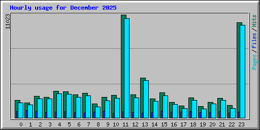 Hourly usage for December 2025