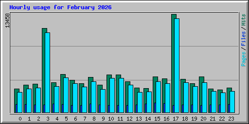 Hourly usage for February 2026