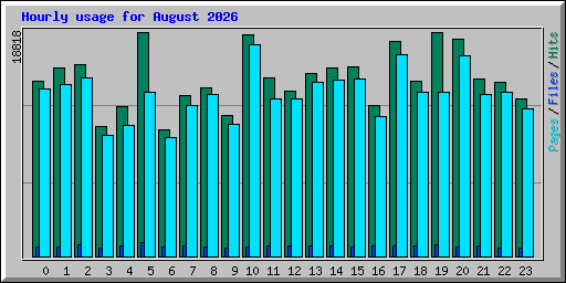 Hourly usage for August 2026
